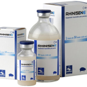RHINISENG
